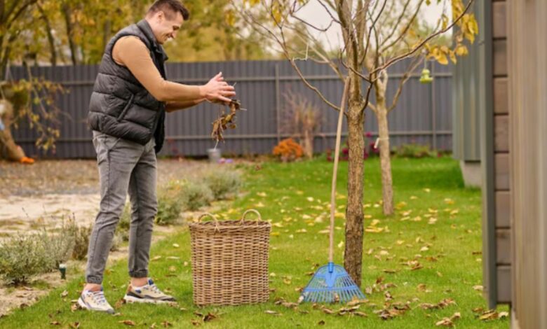 ohio champion trees lewis center ohio