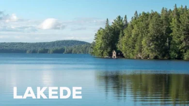 lakede